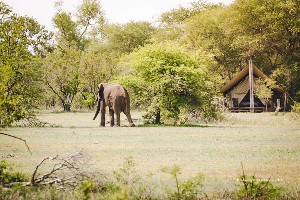 game lodges in South Africa
