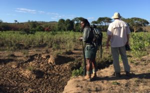 "What a place this Hulhluwe-iMfolozi" reflects Nunu Jone, "primitive."