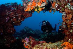 Luxury Dive Resort - Diving by Donna Scherer Fisheyeafrica