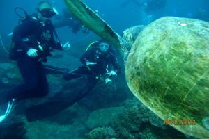 Luxury Dive Resorts - Diving At Thonga