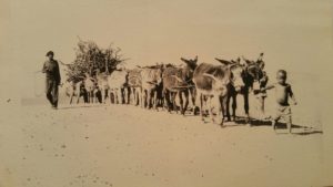 This is one of the original photographs that Herbert took when he first visited South Africa