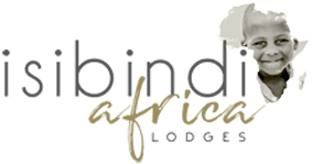 isibindi_ial_logo_web