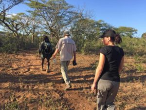 Bush Trails at Rhino Ridge Safari Lodge