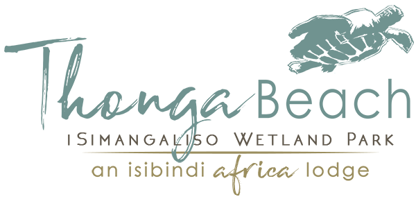 Isibindithonga Beach Lodge Logo Rhino Ridge Safari Lodge 