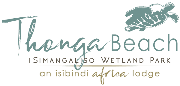 Isibindithonga Beach Lodge Logo Rhino Ridge Safari Lodge 