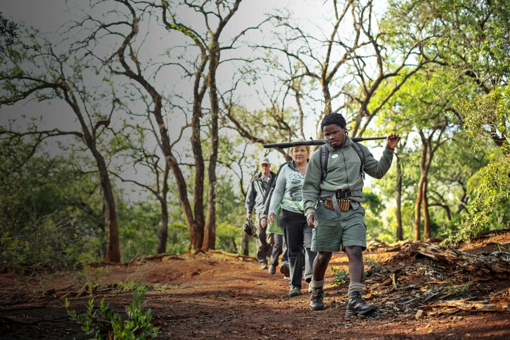 nunu-walking_gradient Bush Trails at Rhino Ridge Safari Lodge