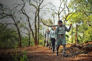 Bush Trails at Rhino Ridge Safari Lodge