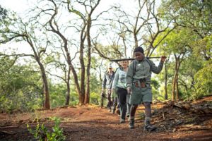 Bush Trails at Rhino Ridge