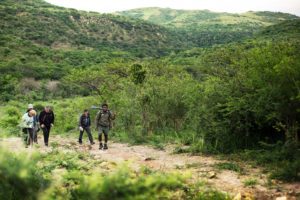 Rhino Ridge Safari Lodge