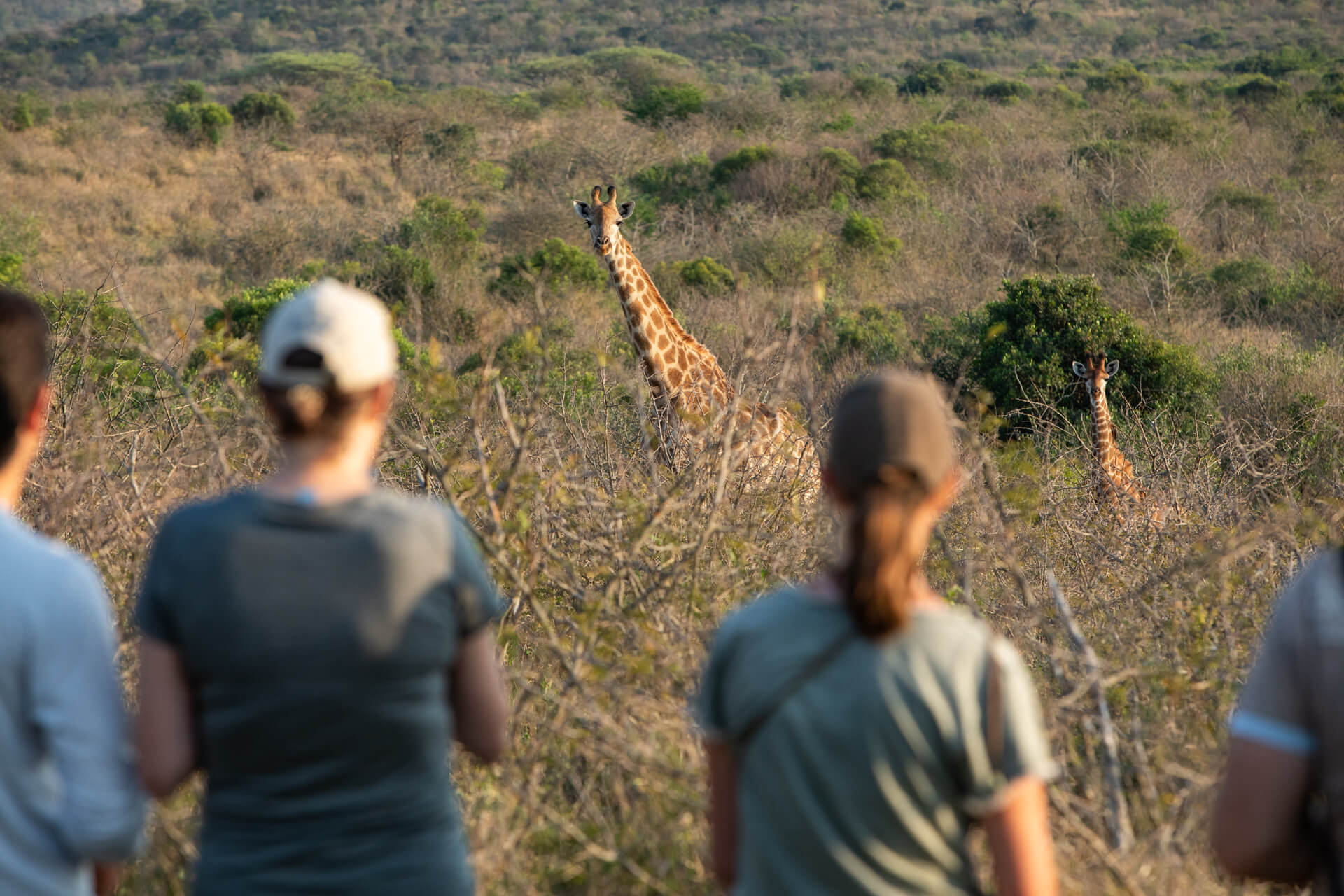 Our exceptional stay! | Rhino Ridge Safari Lodge