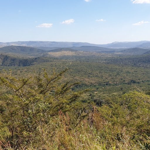 GreenSteps-Travel-hluhluwe-national-park-768x512-2