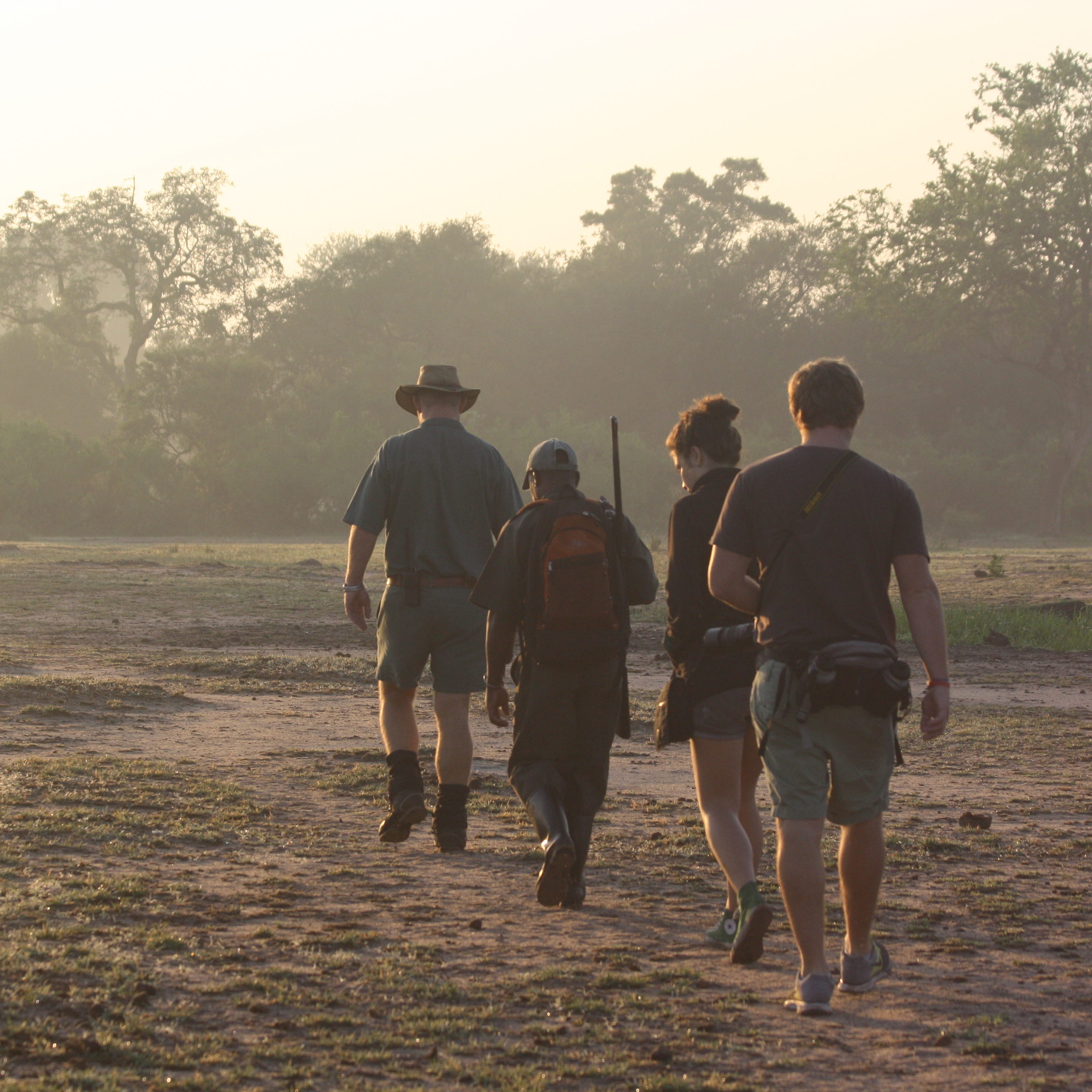 south Africa safari lodges