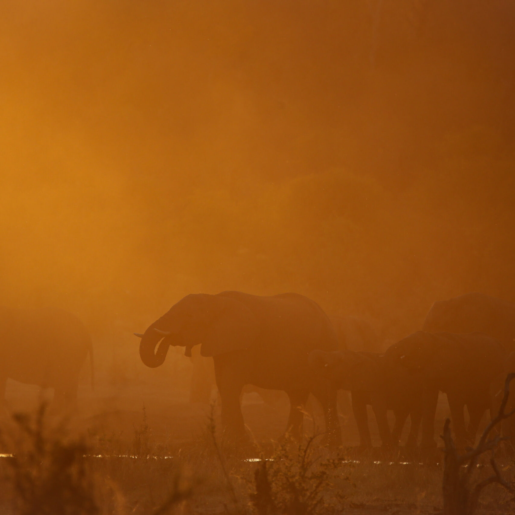 Tsowa Safari Island - Photo by Heléne Ramackers (7)